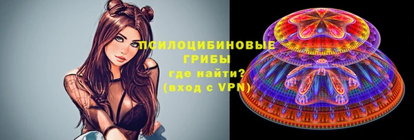 гашик Россошь