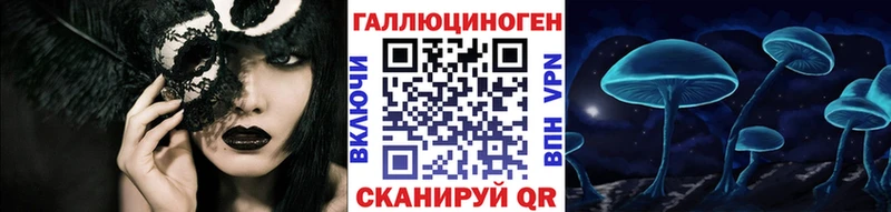 Галлюциногенные грибы Psilocybe  Георгиевск 